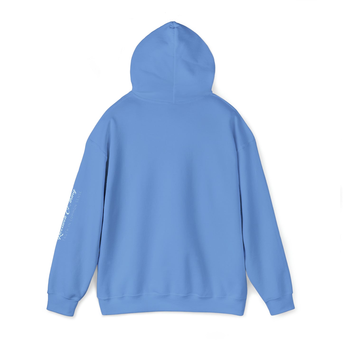 Unisex Heavy Blend™ Hooded Sweatshirt DREAM BIG EDITION