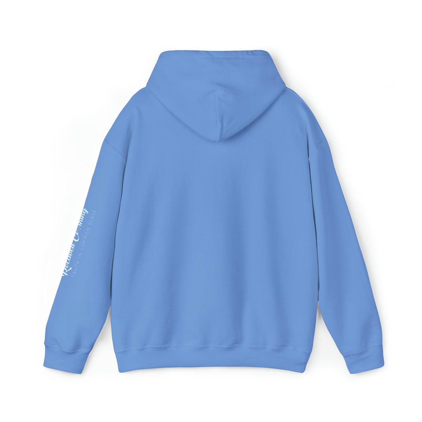 Unisex Heavy Blend™ Hooded Sweatshirt DREAM BIG EDITION